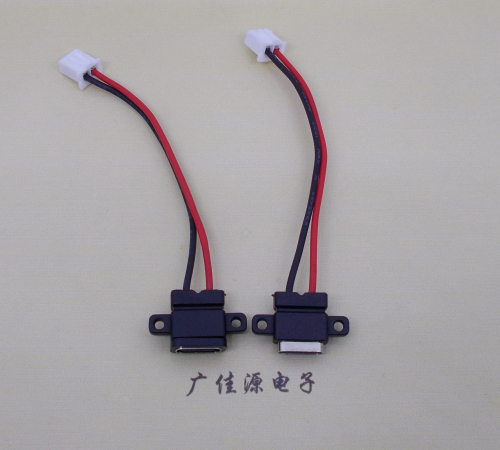 池州简易type c2p防水母座注塑成型带双螺丝孔焊线式带线带接线端子单充电功能