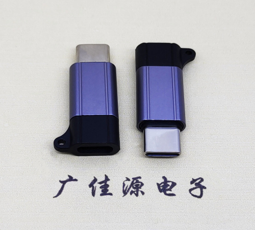 池州Type-C母转Type-C公 USB3.1 PD100W快冲接口